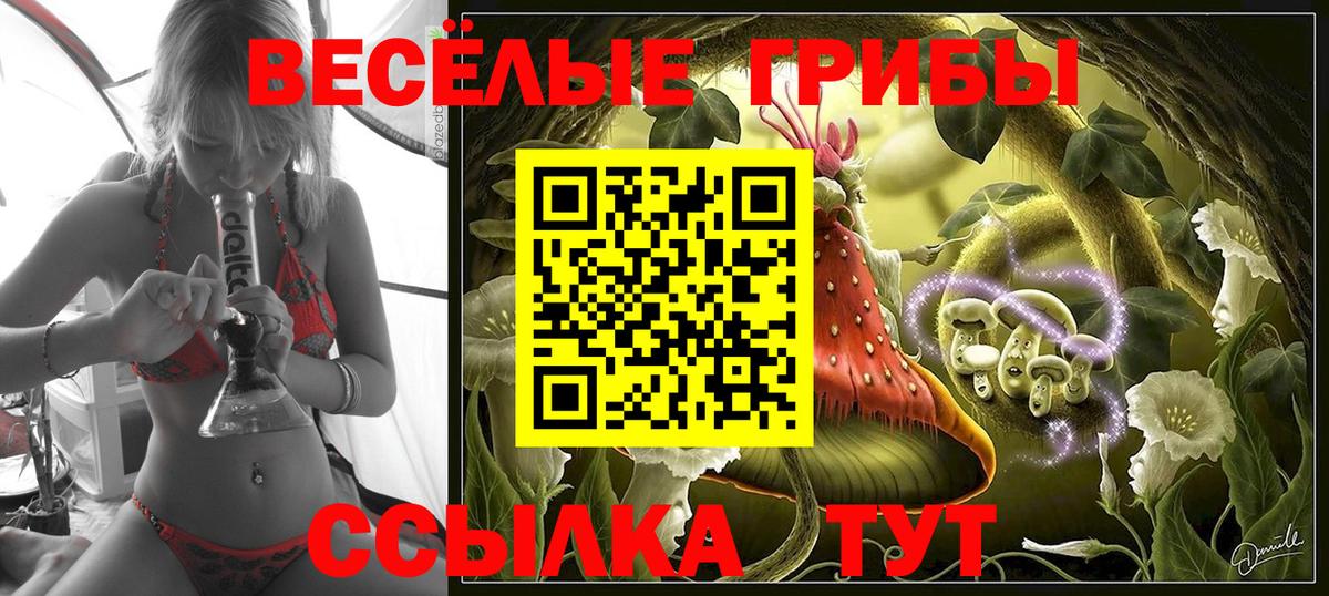 Псилоцибиновые грибы Psilocybe Углич